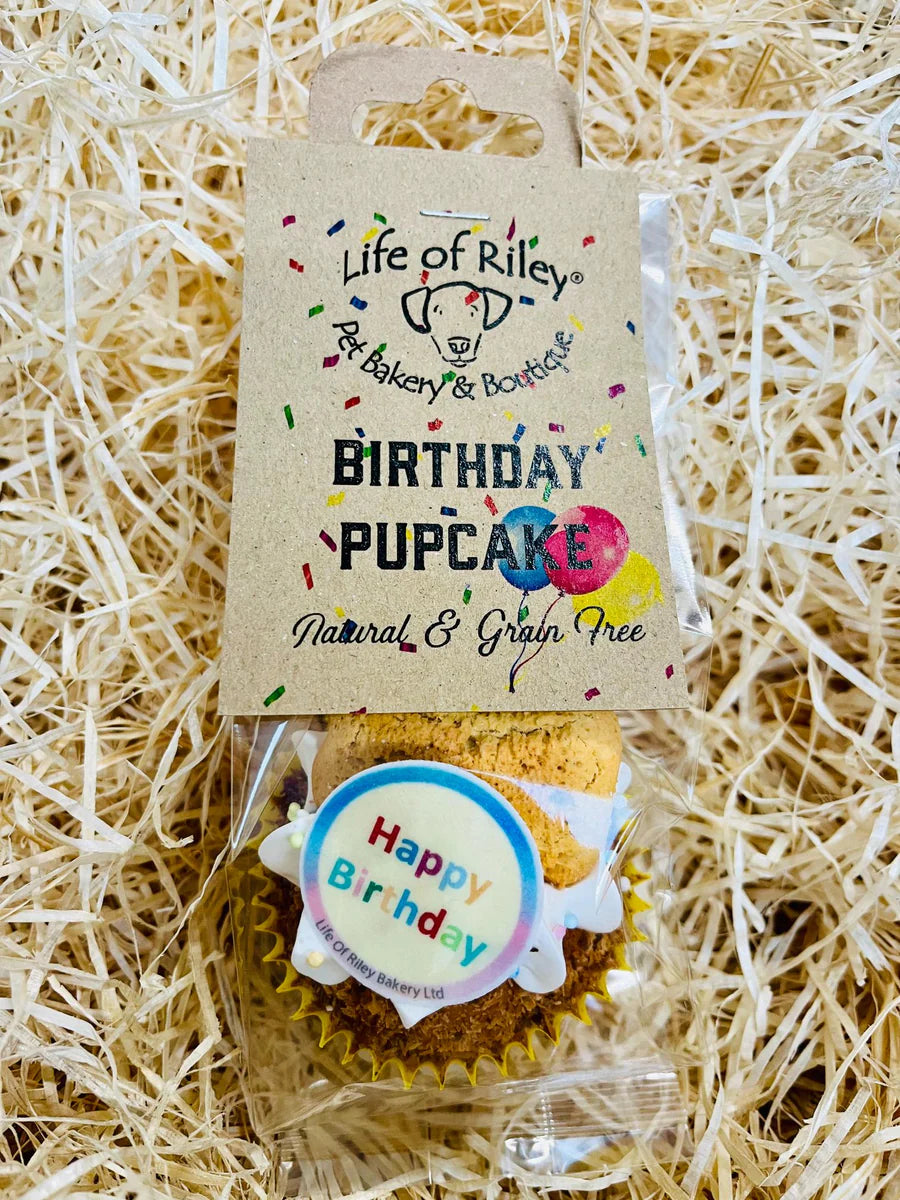 Life of Riley Birthday Pupcake