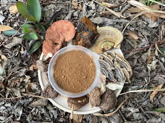 Alexander's Reishi Mushroom Powder 10g