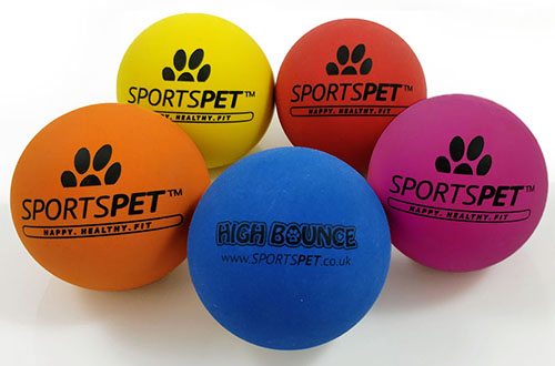 Sportspet High Bounce Ball Size 60mm