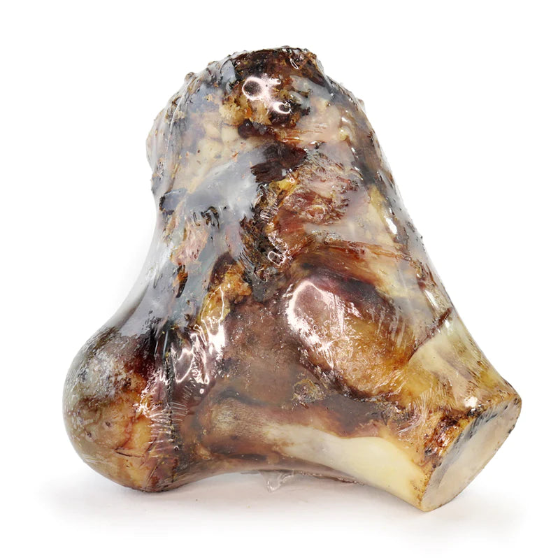 Beef Knuckle Bone XL