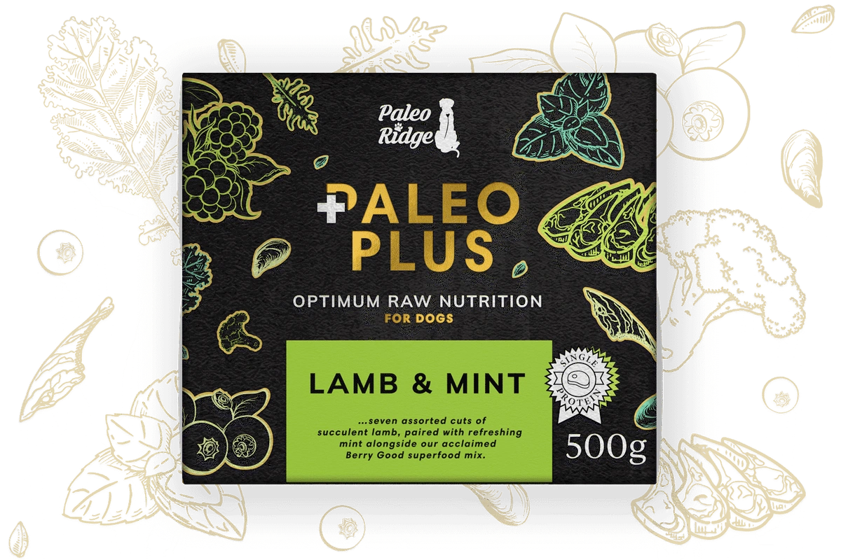 Paleo Ridge Plus Lamb and Mint 500g