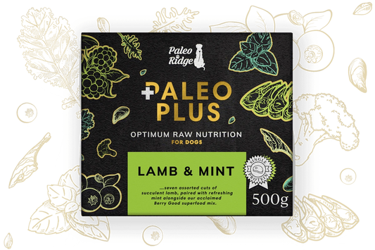 Paleo Ridge Plus Lamb and Mint 500g