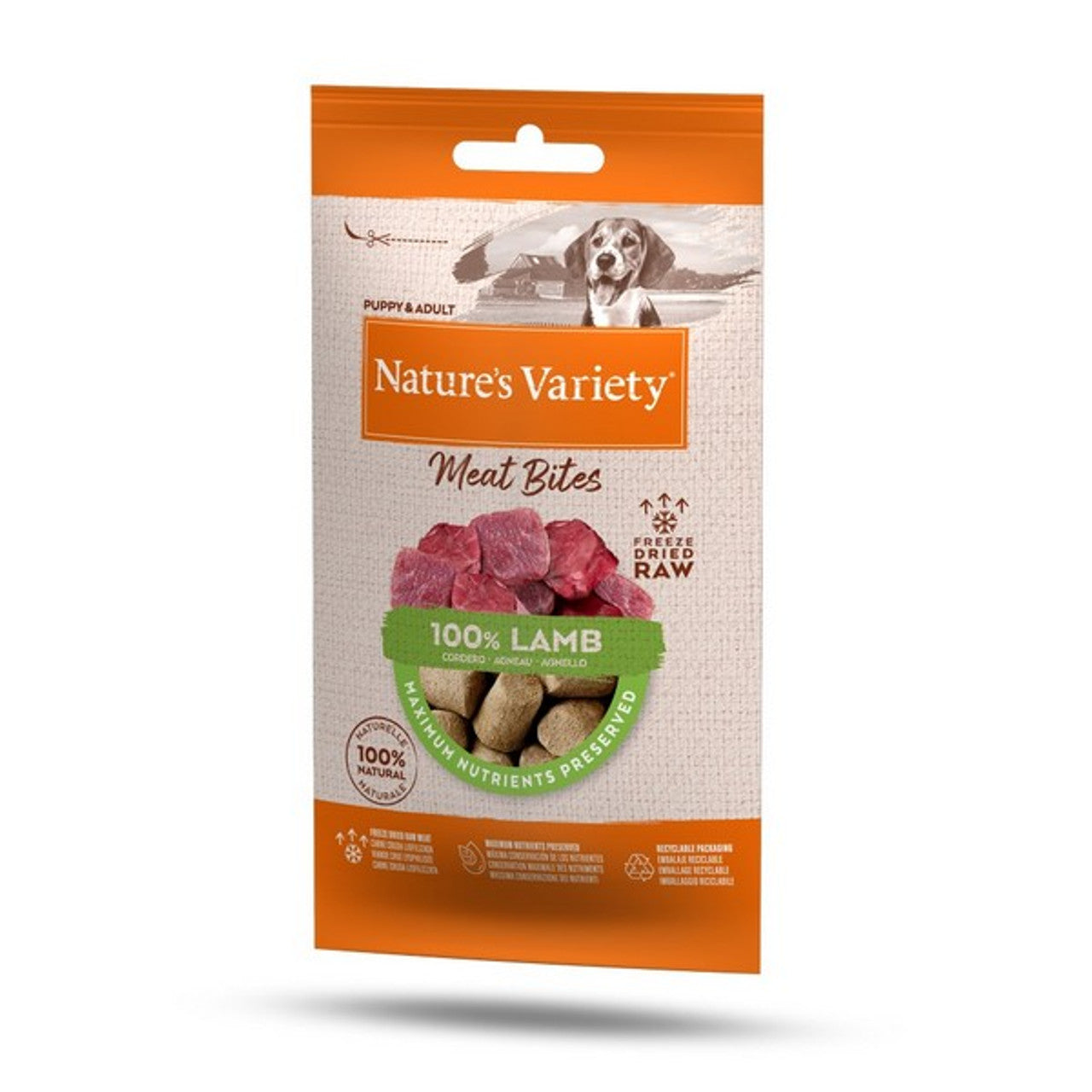 Natures Variety Freeze Dried Bites 20g